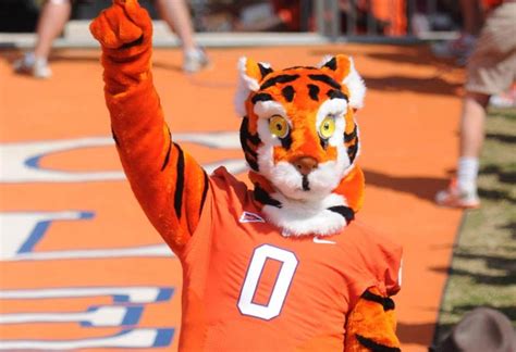 The renowned clemson tiger mascot